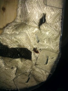 utah bed bug exterminator bed bug control