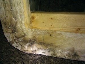 exterminator photos bed bug photos
