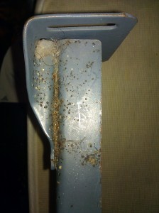 exterminate bed bugs bed bug control utah