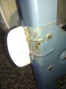 utah bed bug photos bed bug exterminators