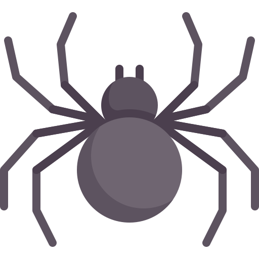 spider