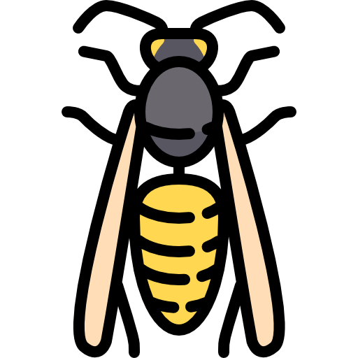 wasp