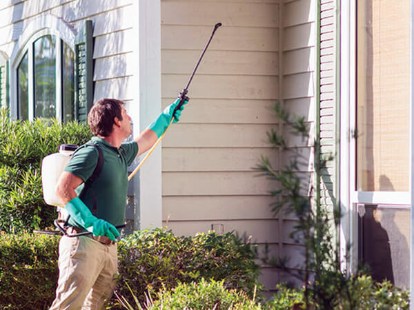 residential_pest-control-services